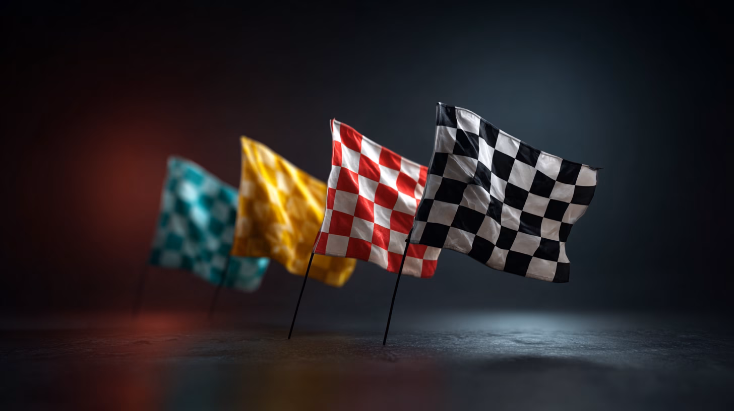 Infographic met alle racevlaggen